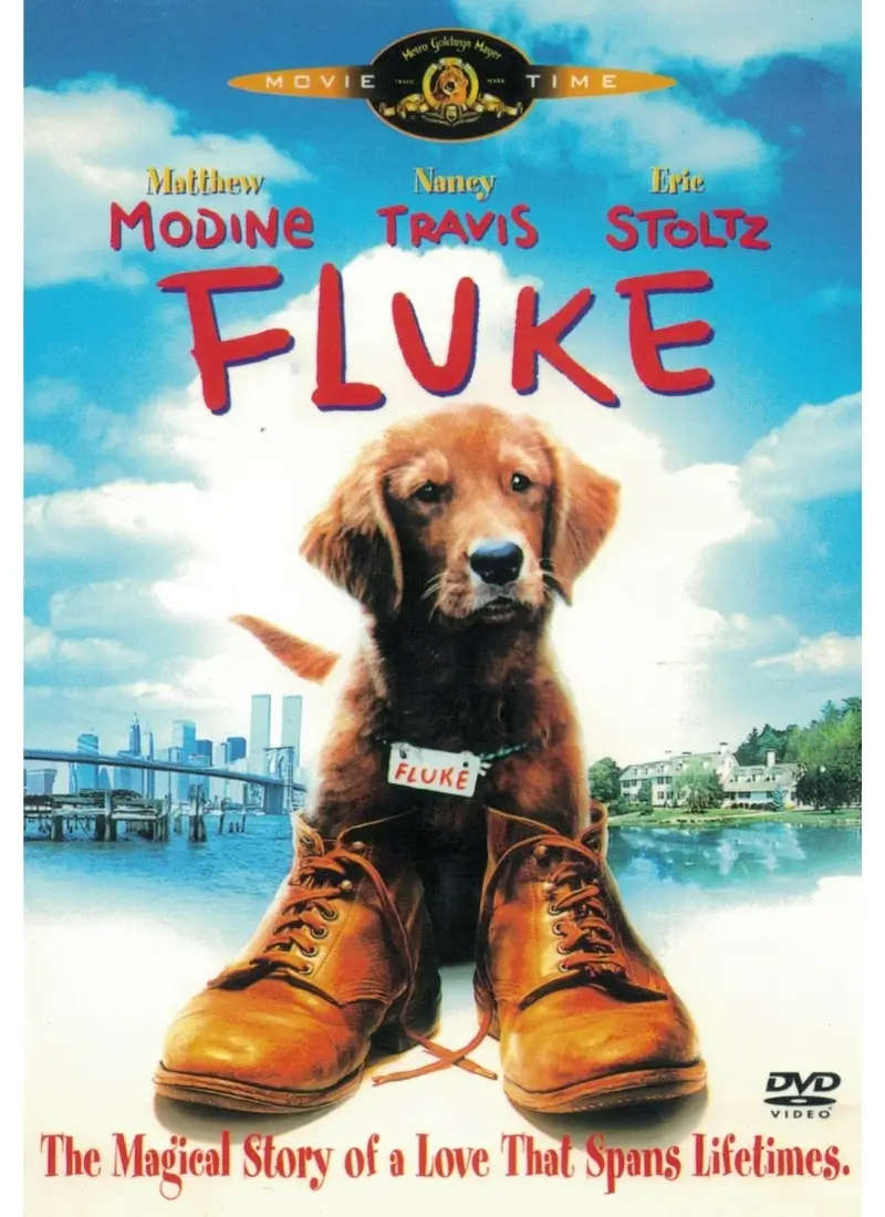 Fluke (DVD)