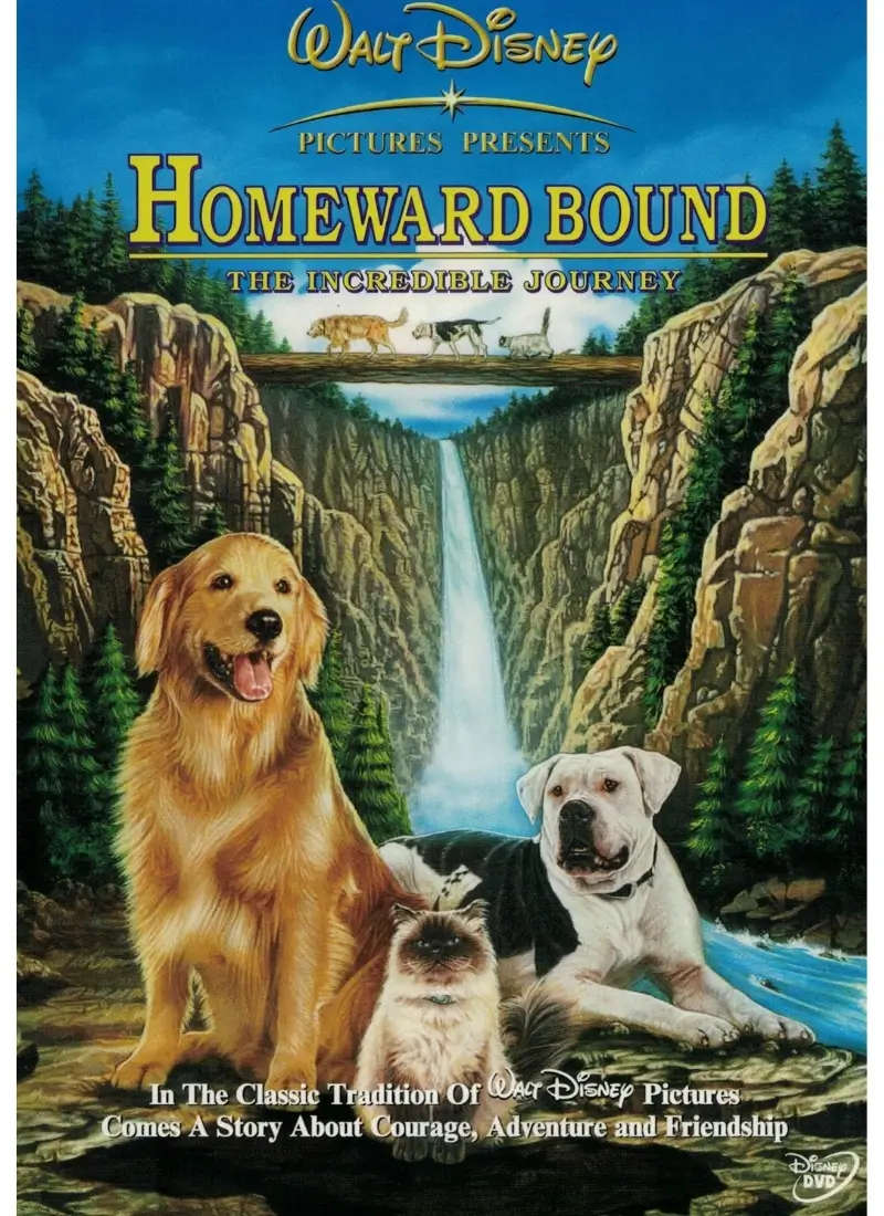Homeward Bound (DVD)