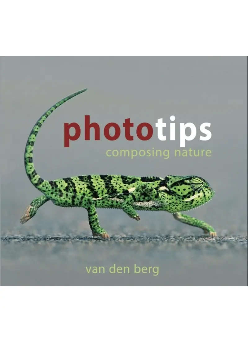 Phototips: Composing Nature