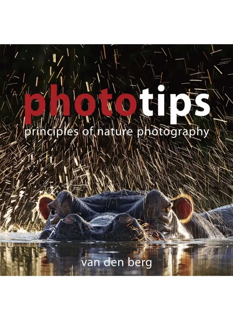 Phototips: Principles of Nature
