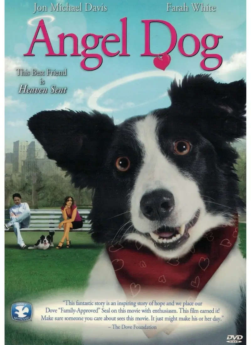 Angel Dog (DVD)