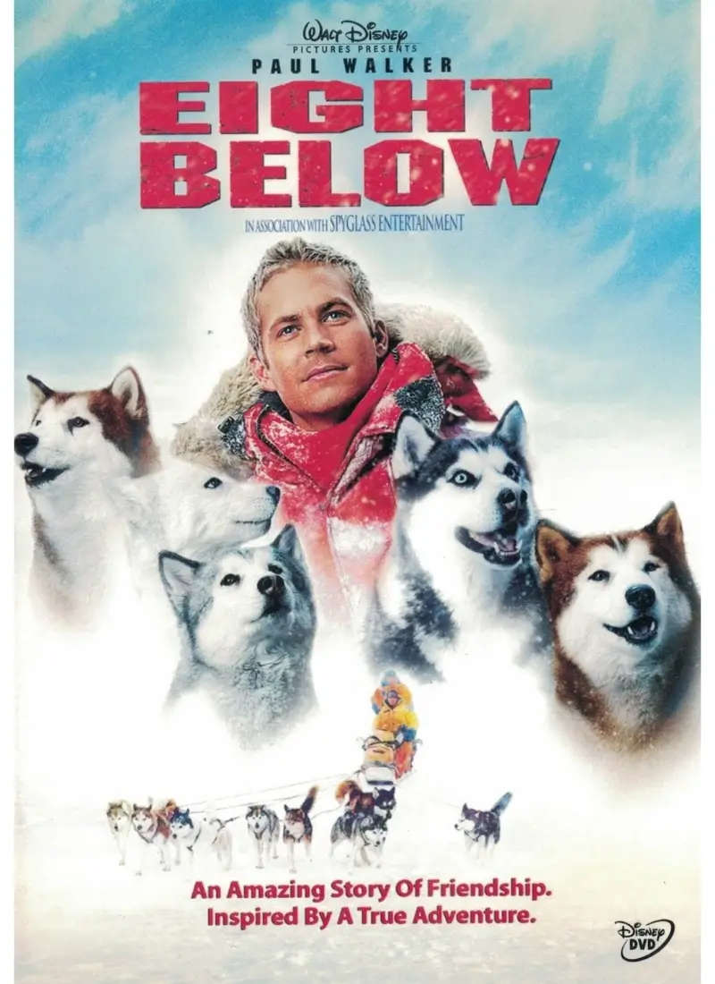 Eight Below (DVD)