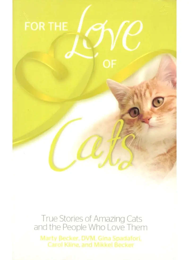 For the love of cats