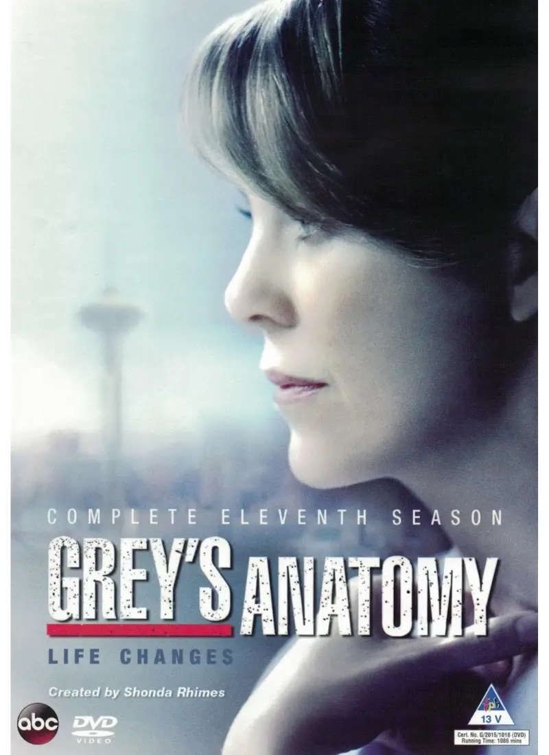 Grey's Anatomy - Season 11 (DVD)
