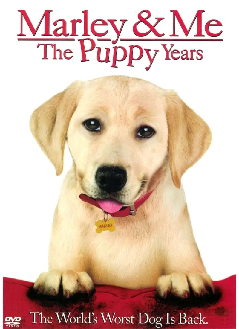 Marley and Me: The Puppy Years (DVD)