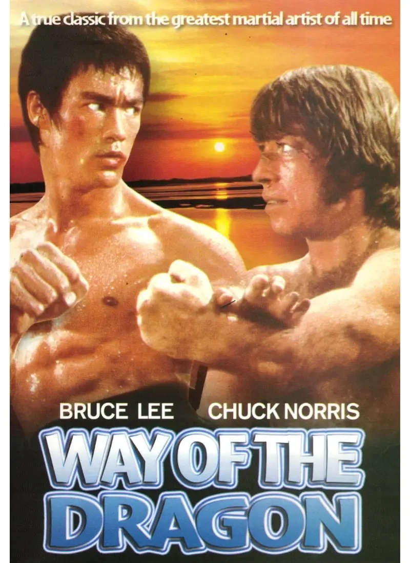 Way of the Dragon (DVD)