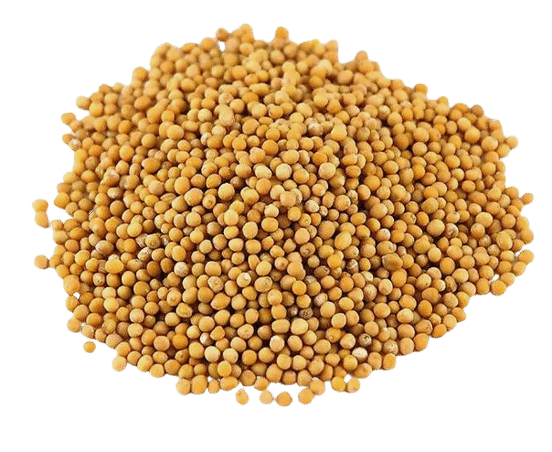 Yellow Mustard Seeds 100g