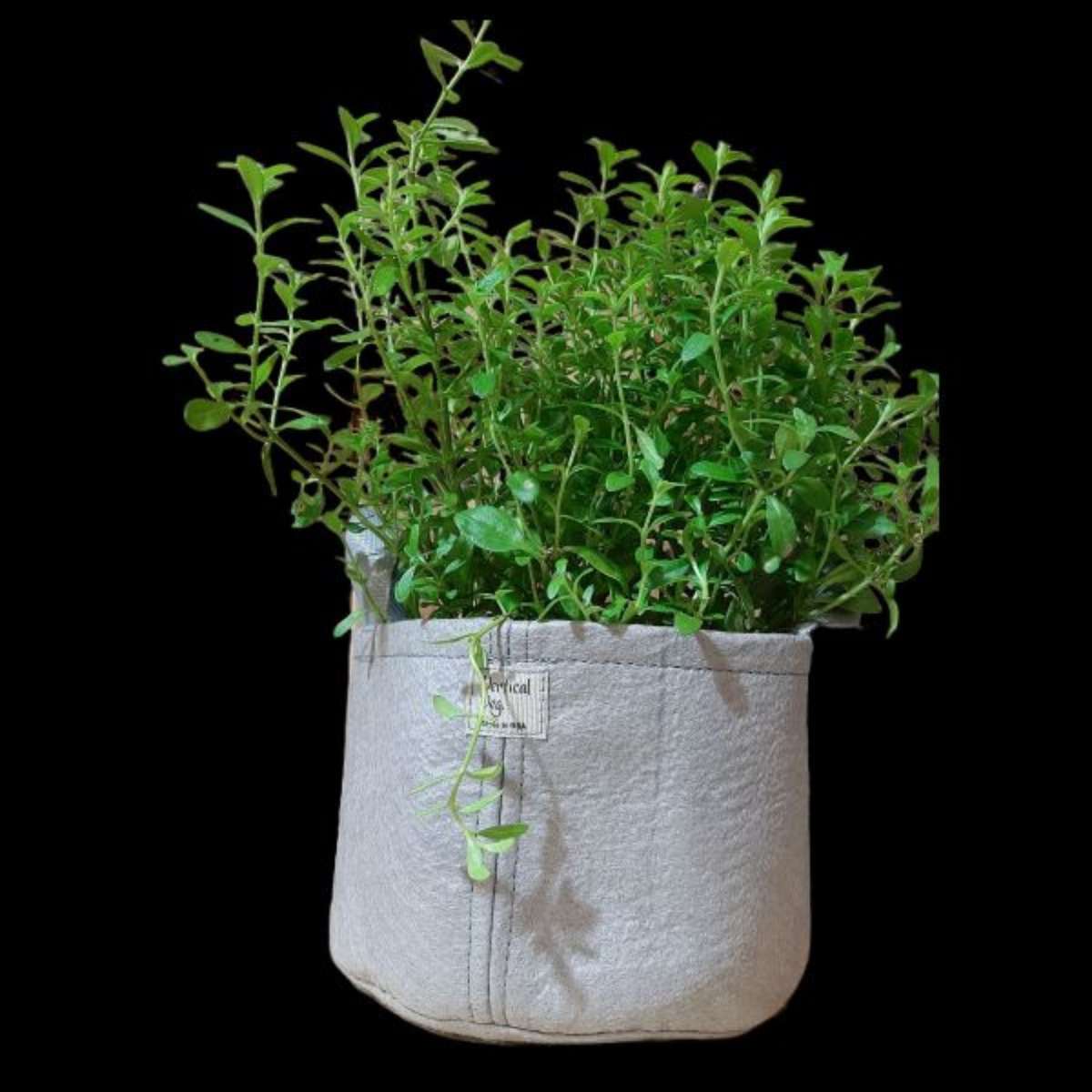 5L Veggie Pot - Without Trim