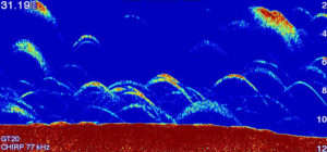 Garmin STRIKER Plus 4 With Dual-Beam Transducer