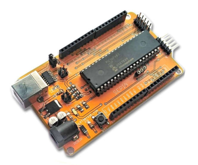 PIC MIC DEVELPMENT BOARD USART DIP40 RADIX-SEPIA