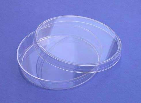 Petri Dishes 15mm x 100mm, 20/Pack