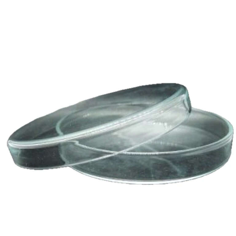 Petri Dish Glass 100mm