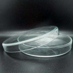 Petri Dish Glass 100mm