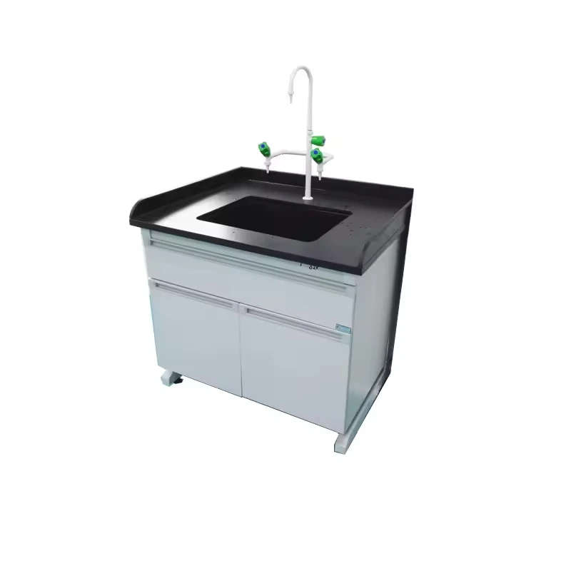 Laboratory Sink With Faucet