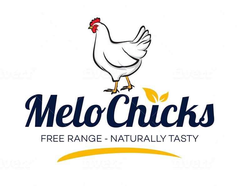 1000 Watt Invertor UPS - 1.50kg