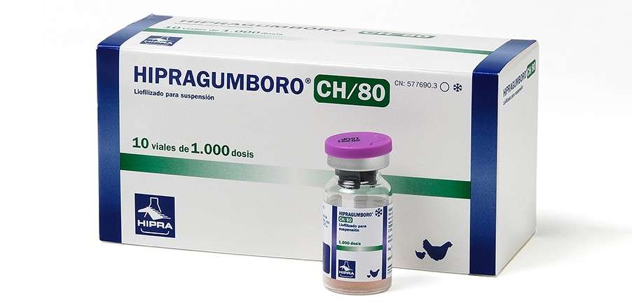 HIPRAGUMBORO CH/80 Vaccine - 2kg