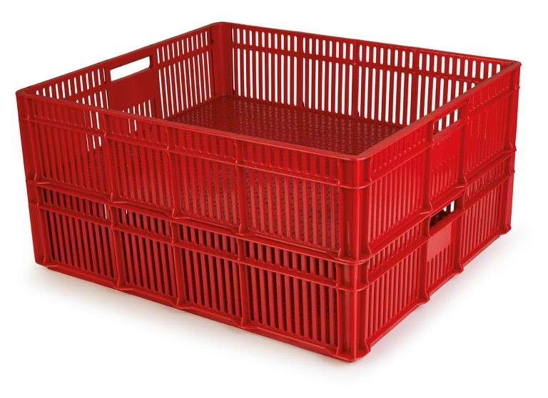 100 Chick Crate - 2kg