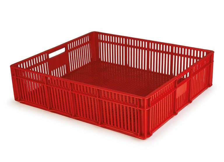 100 Chick Crate - 2kg