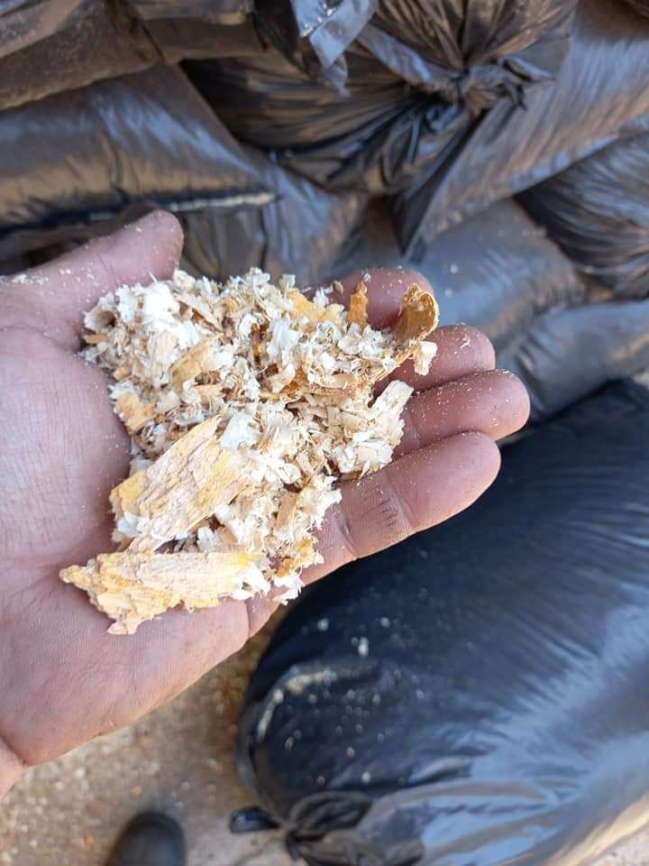 Bag of pine shavings - 15kg