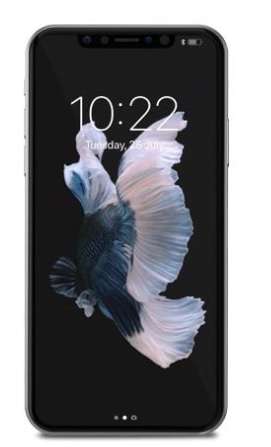 AIRFOIL GLASS IPHONE X/XS / 11 PRO CLEAR