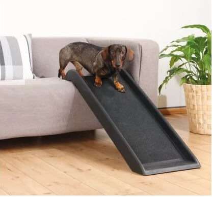 Single Pet Ramp - Plastic