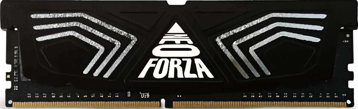 Neoforza Faye 1X16Gb 3600Mhz Single Memory