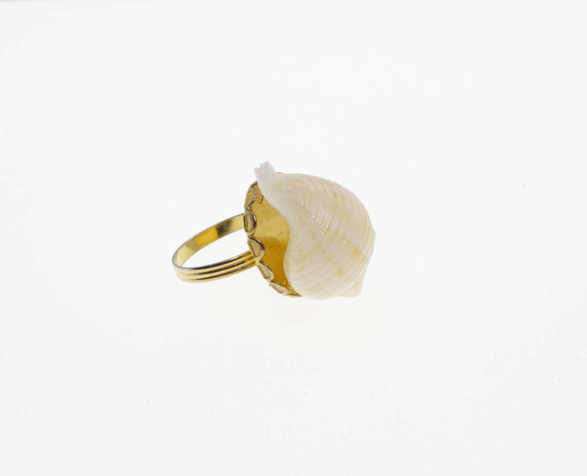 Ring - Gold Tone Expandable band with a Sea Shell - ML2676
