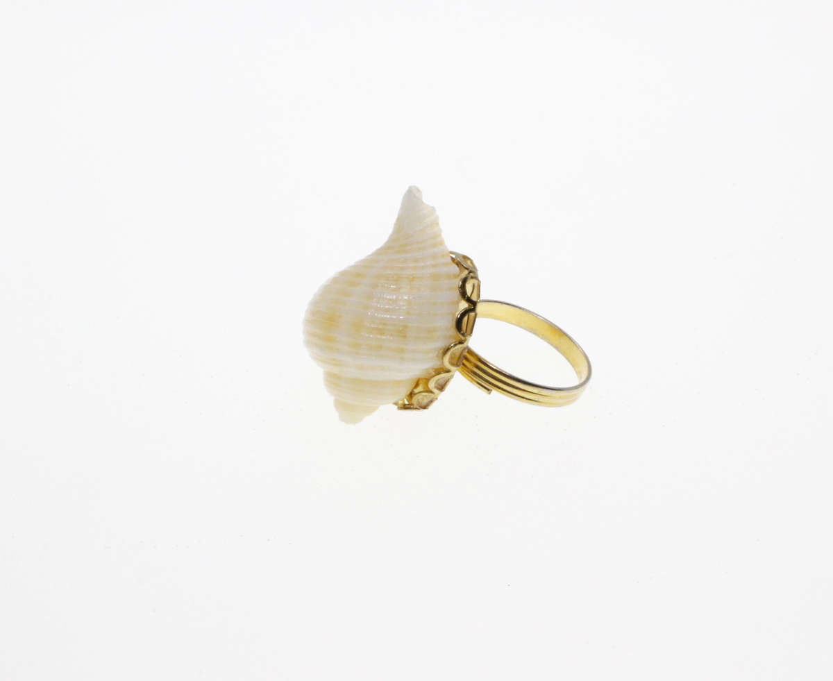Ring - Gold Tone Expandable band with a Sea Shell - ML2676