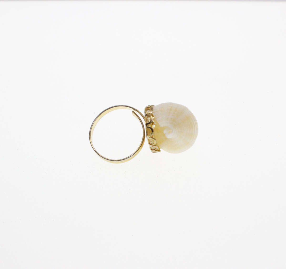 Ring - Gold Tone Expandable band with a Sea Shell - ML2676