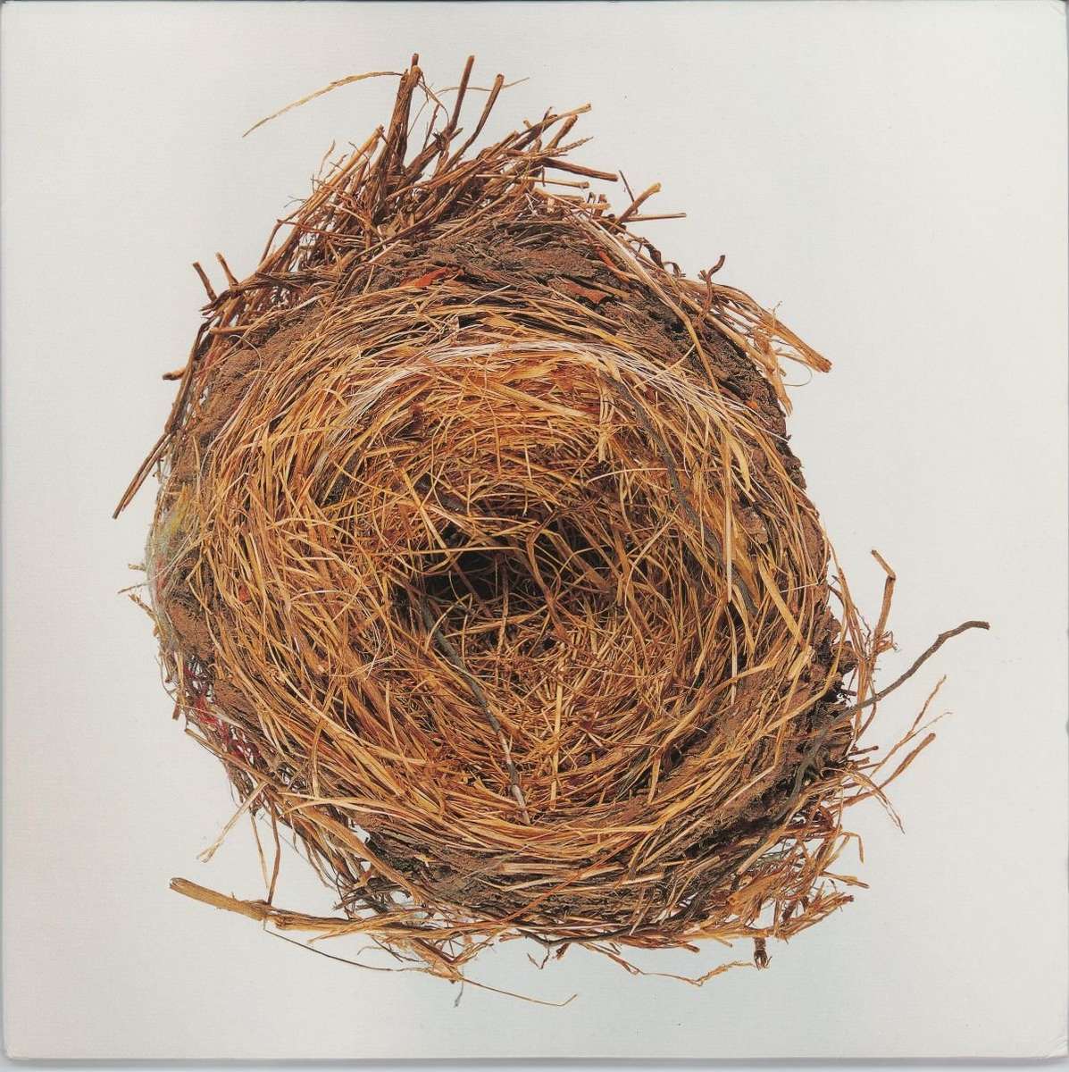 Wilco - A Ghost Is Born (VG) (2LP)