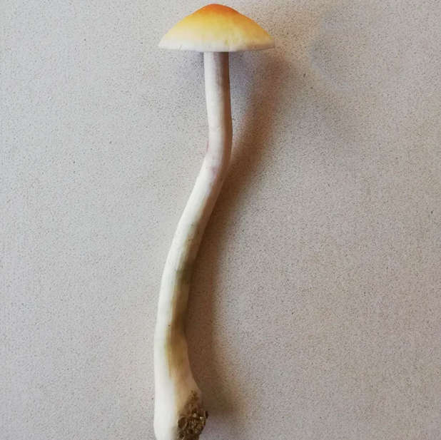 Natal Super Strength - 0.01kg