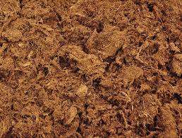 Sphagnum Peat Moss