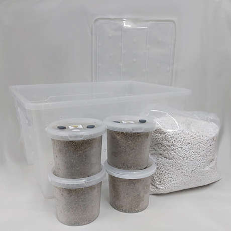 Shotgun Fruiting Chamber Combo