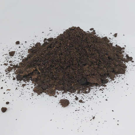 Sphagnum Peat Moss