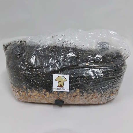 Grow In A Bag Kit