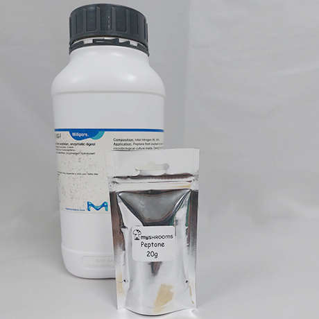 Peptone Enzymatic from Soybean