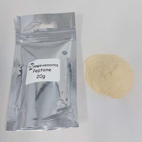 Peptone Enzymatic from Soybean