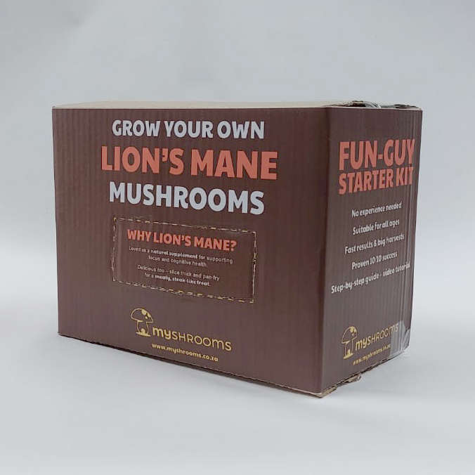 Lion's Mane Grow Box