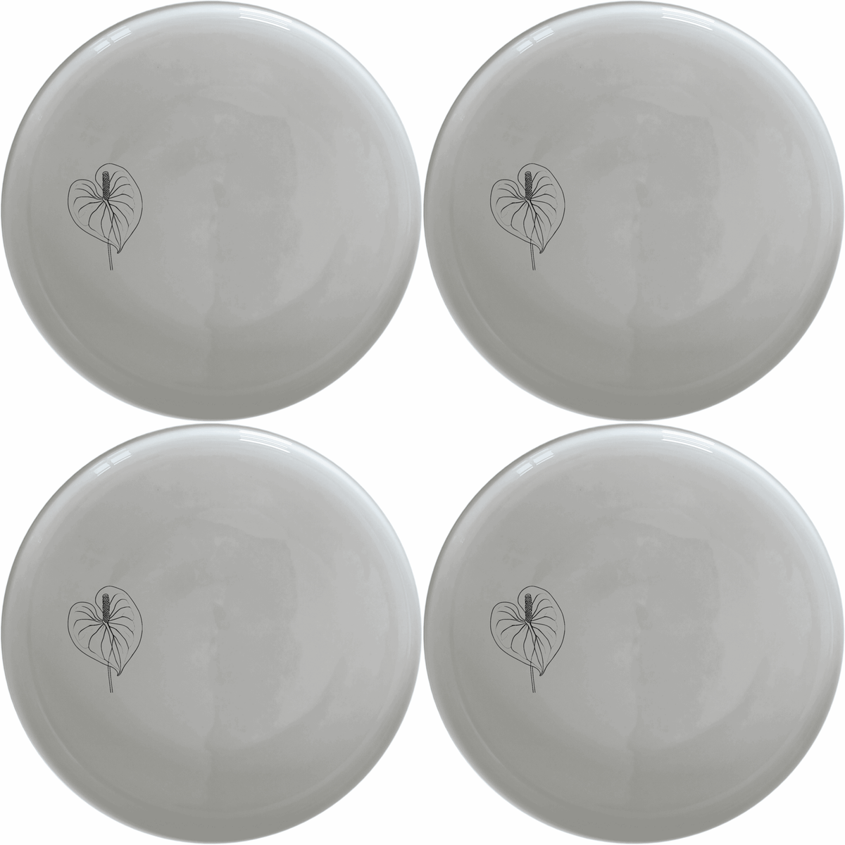 Anthurium Clarinervium Dinner Plate Set of 4 - Range 2