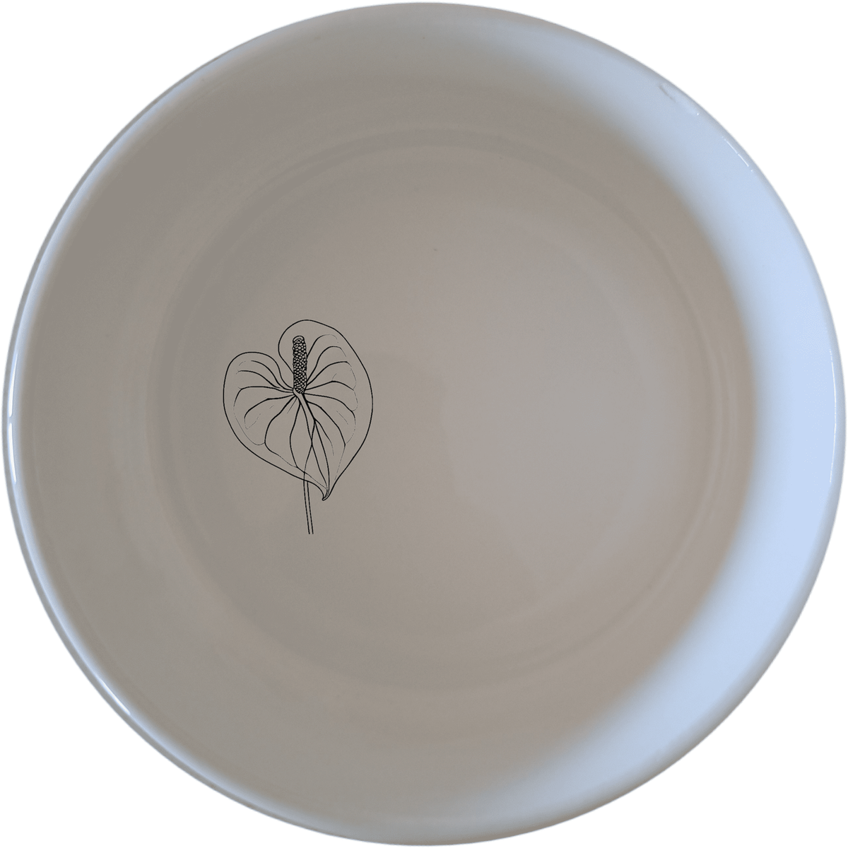 Anthurium Clarinervium Bowl Set of 4 - Range 2