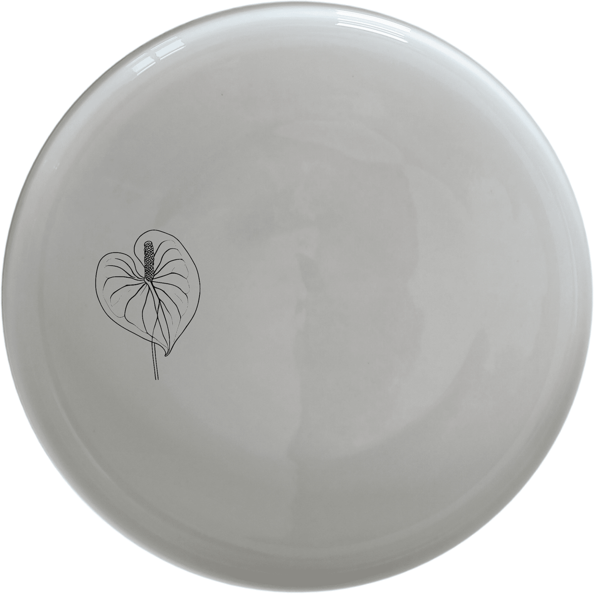 Anthurium Clarinervium Dinner Plate Set of 4 - Range 2