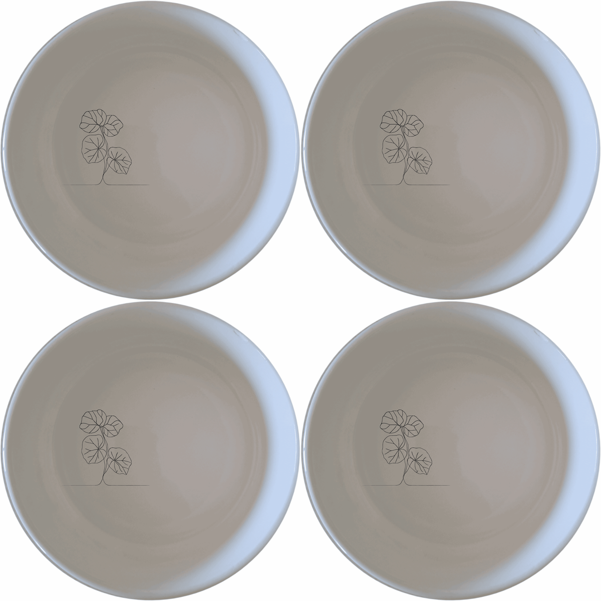 Begonia Maculata Bowl Set of 4 - Range 2