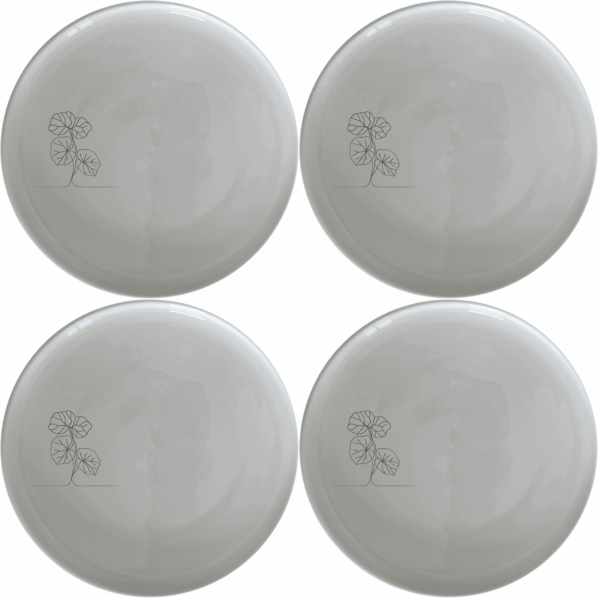 Begonia Maculata Dinner Plate Set of 4 - Range 2