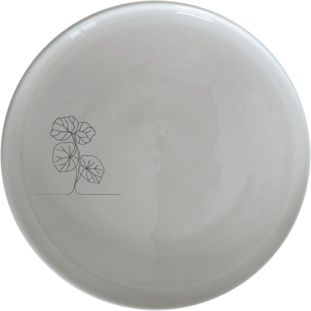 Begonia Maculata Dinner Plate Set of 4 - Range 2
