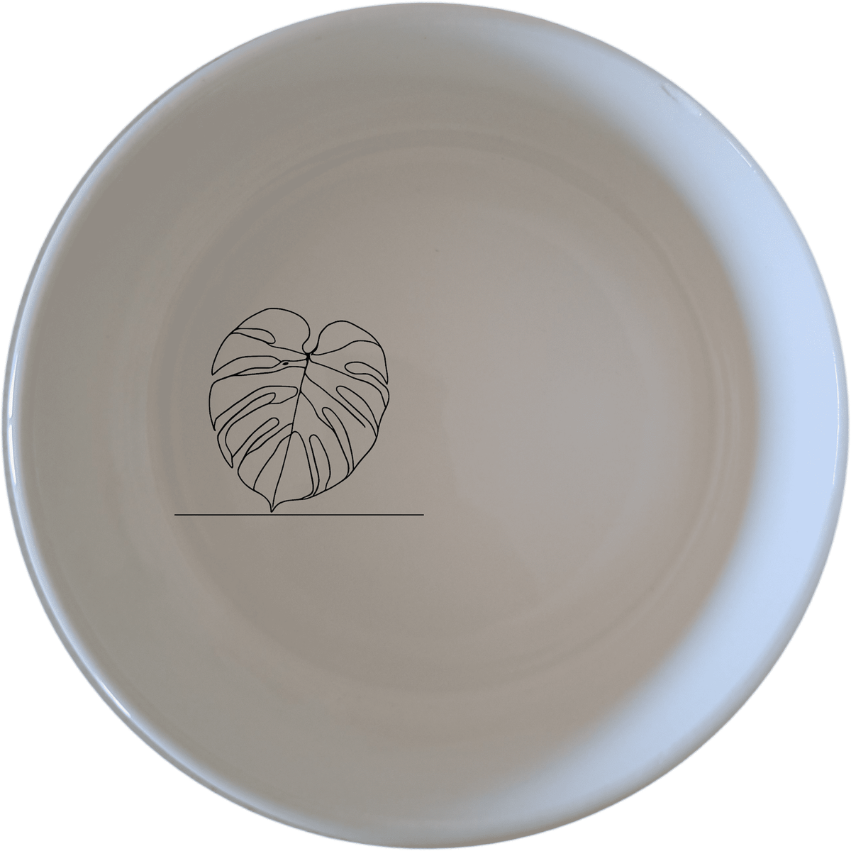 Oversized Monstera Leaves Bowl Set of 4 - Range 1