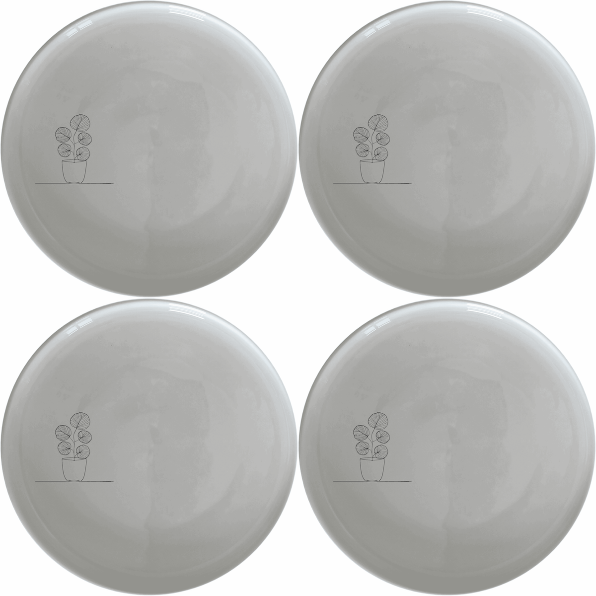 Pilea Peperomioides Dinner Plate Set of 4 - Range 2