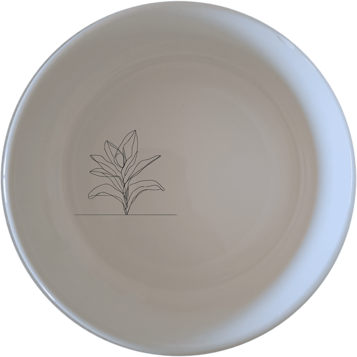 Stromanthe Triostar Bowl Set of 4 - Range 2