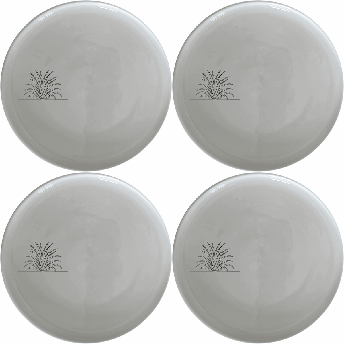 Tillandsia Air Plants Dinner Plate Set of 4 - Range 2