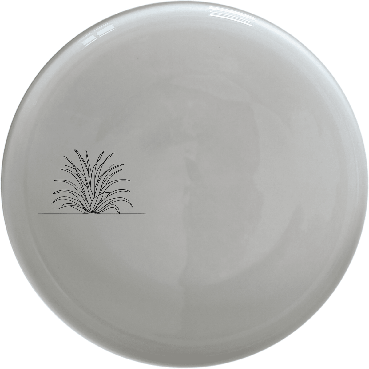 Tillandsia Air Plants Dinner Plate Set of 4 - Range 2