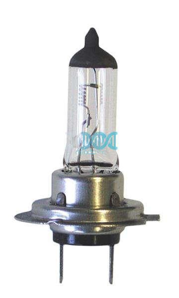 Globe H7 70W 24V